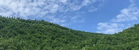 Forest Fire Prevention Early Warning System Engineer